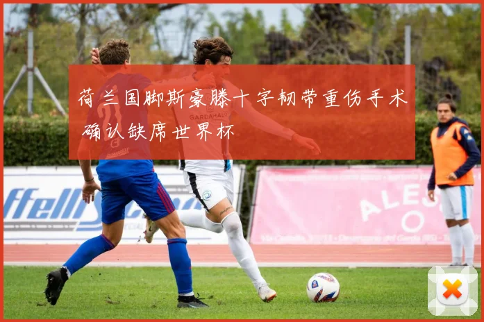 荷兰国脚斯豪滕十字韧带重伤手术 确认缺席世界杯